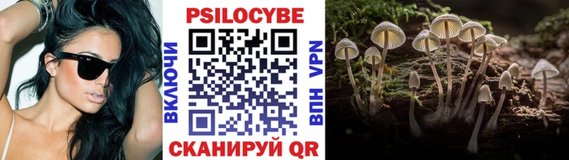 Галлюциногенные грибы GOLDEN TEACHER  Купить где  Курчалой 