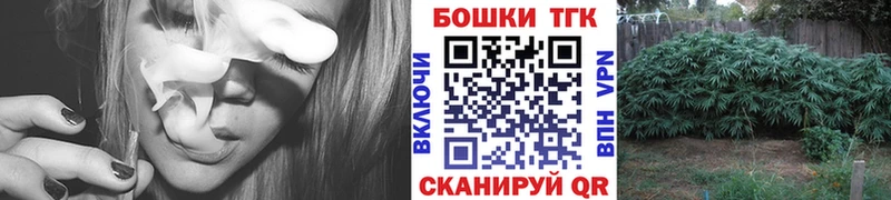 Конопля OG Kush  Купить закладки  Курчалой 